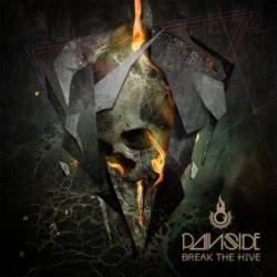 Painside : Break the Hive